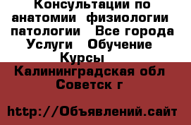 Консультации по анатомии, физиологии, патологии - Все города Услуги » Обучение. Курсы   . Калининградская обл.,Советск г.